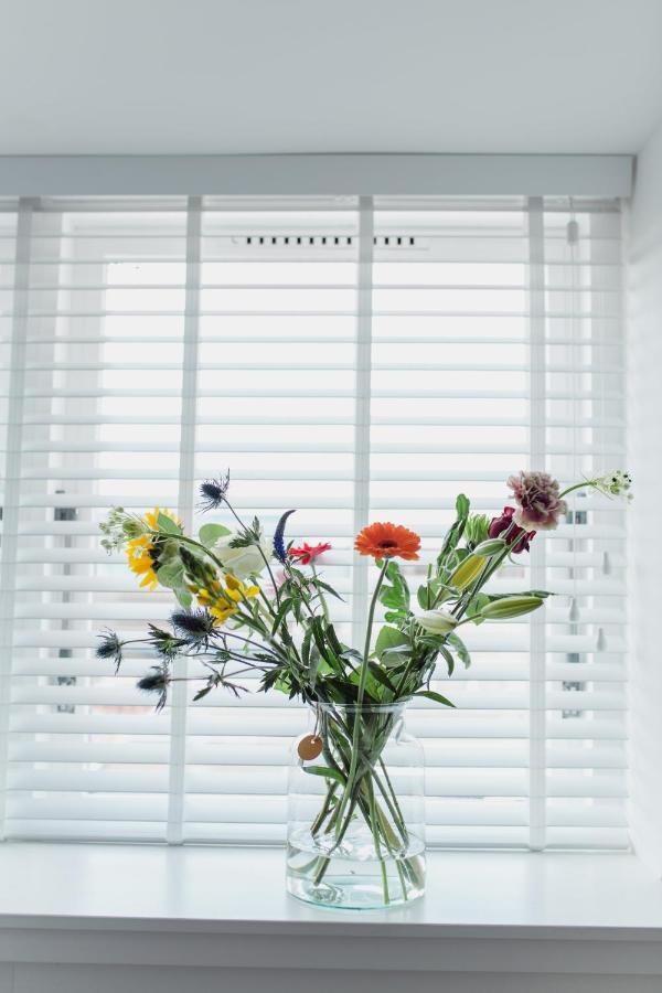 Studio De Bilt Luaran gambar